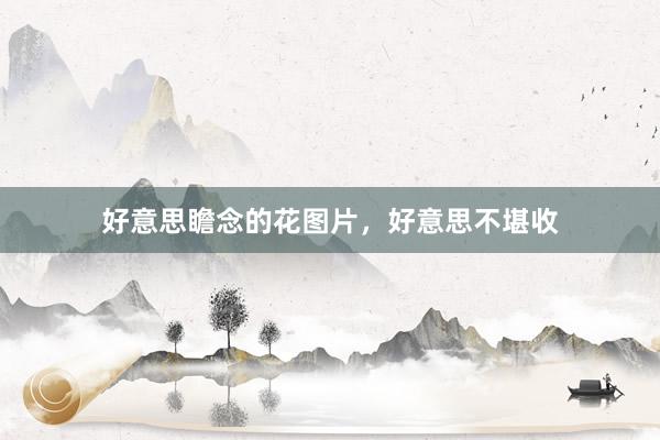 好意思瞻念的花图片，好意思不堪收