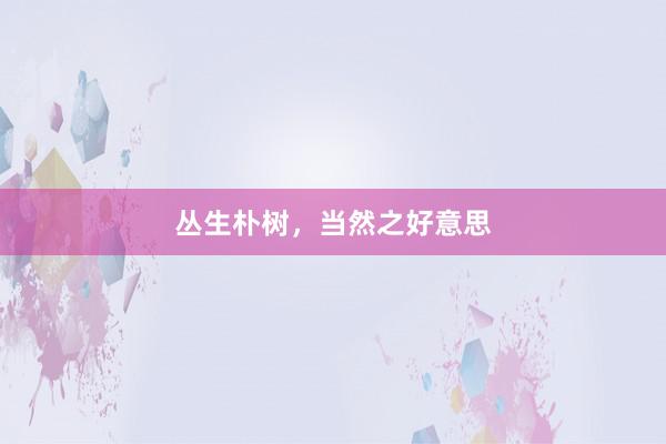 丛生朴树，当然之好意思