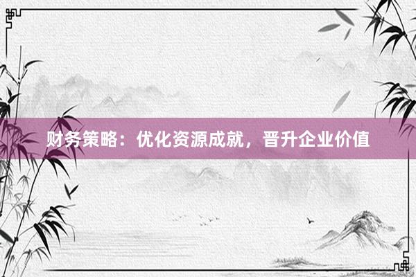 财务策略：优化资源成就，晋升企业价值